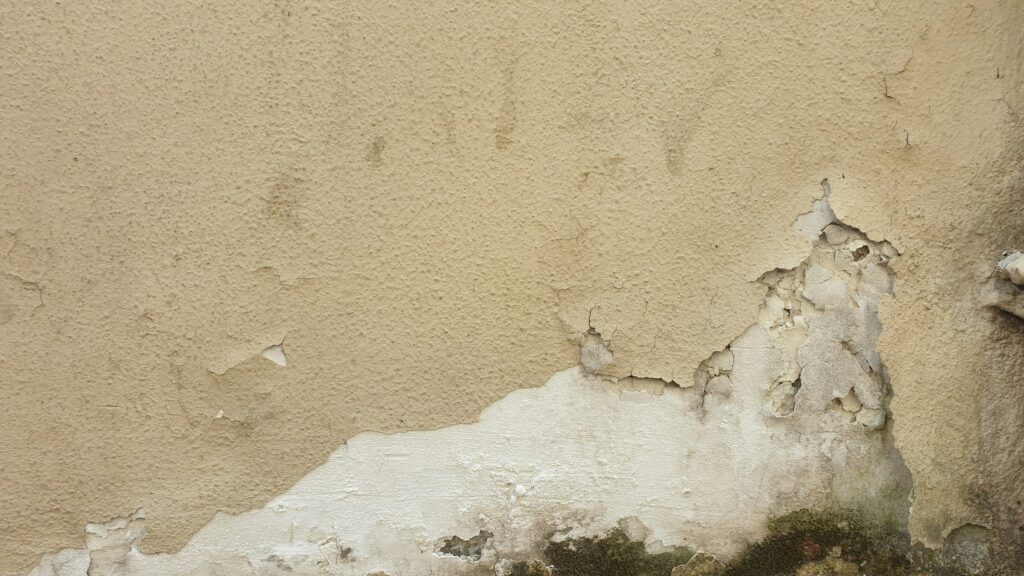 Cómo quitar la humedad de una pared